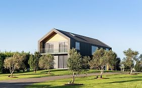 Seacliff House 10 Bedrooms With Ocean & Dairy Country Views